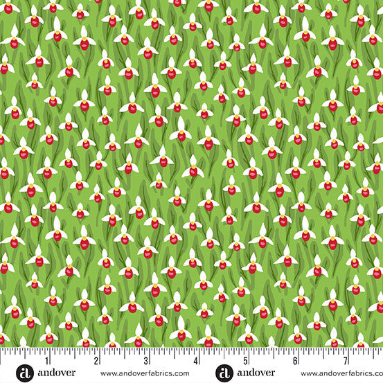 (2 yd) Andover/Makower UK Floral States Of America A-985-MN Minnesota Pink/White Lady's Slipper