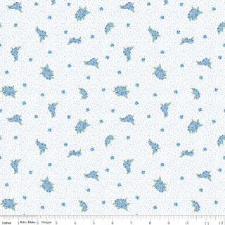 Riley Blake "Sunny Skies" Half-yard Bundle - 10 Fabrics, 5 Total Yards