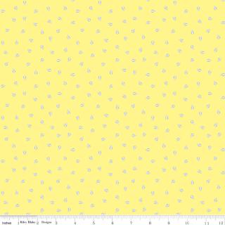 Riley Blake "Sunny Skies" Half-yard Bundle - 10 Fabrics, 5 Total Yards