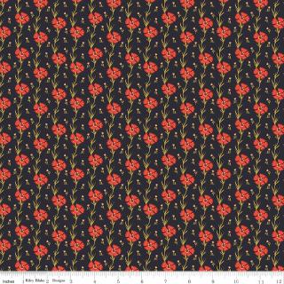 Riley Blake "Wanderlust" Half-yard Bundle - 10 Fabrics, 5 Total Yards