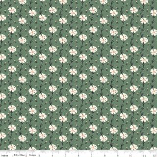 Riley Blake "Wanderlust" Half-yard Bundle - 10 Fabrics, 5 Total Yards