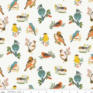 Riley Blake "Winged Medley" Half-yard Bundle - 10 Fabrics, 5 Total Yards