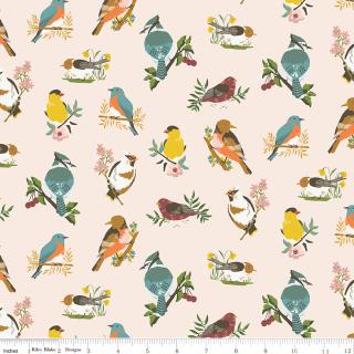 Riley Blake "Winged Medley" Half-yard Bundle - 10 Fabrics, 5 Total Yards