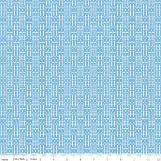 Half-yard Bundle - Riley Blake "Awakening" - 10 Fabrics, 5 Total Yards