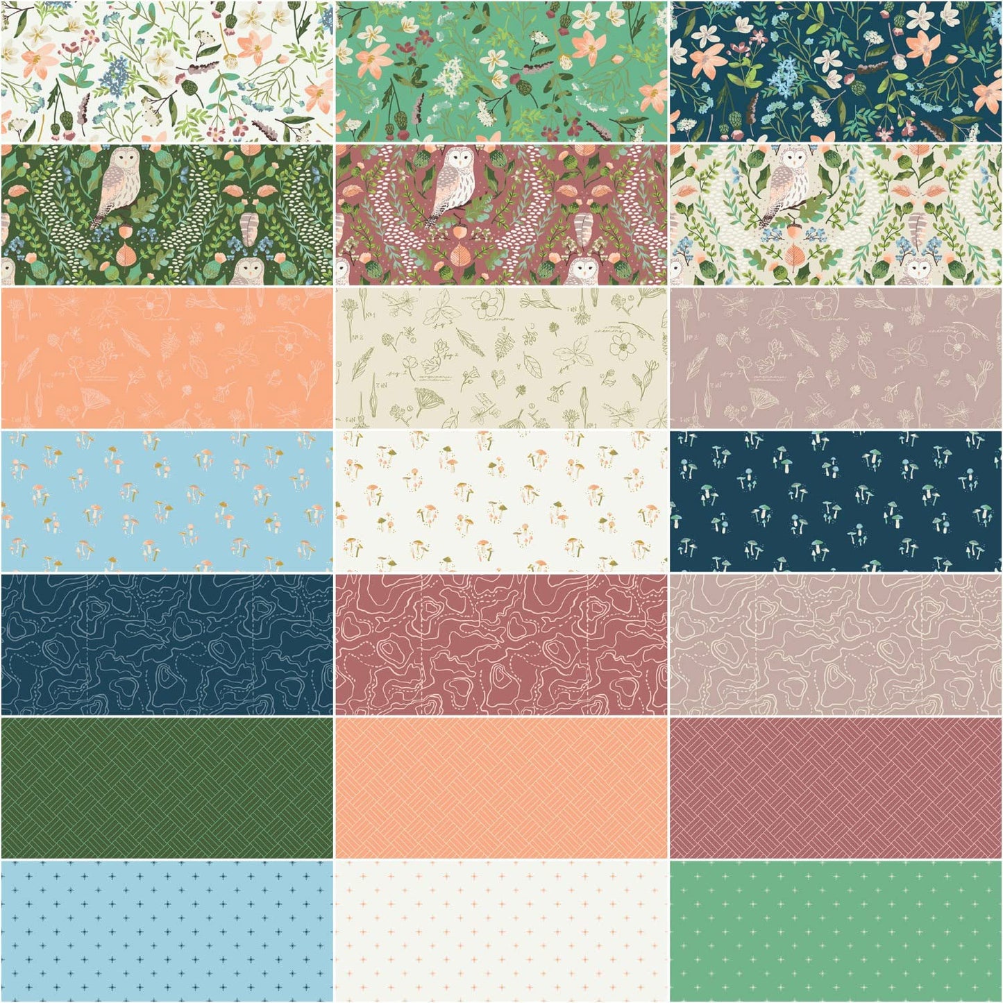 Riley Blake Wildwood Wander- 40 Strip Rolie Polie